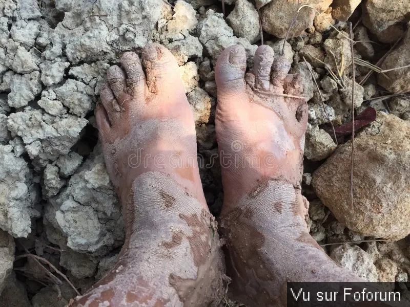 La pensée du jour...