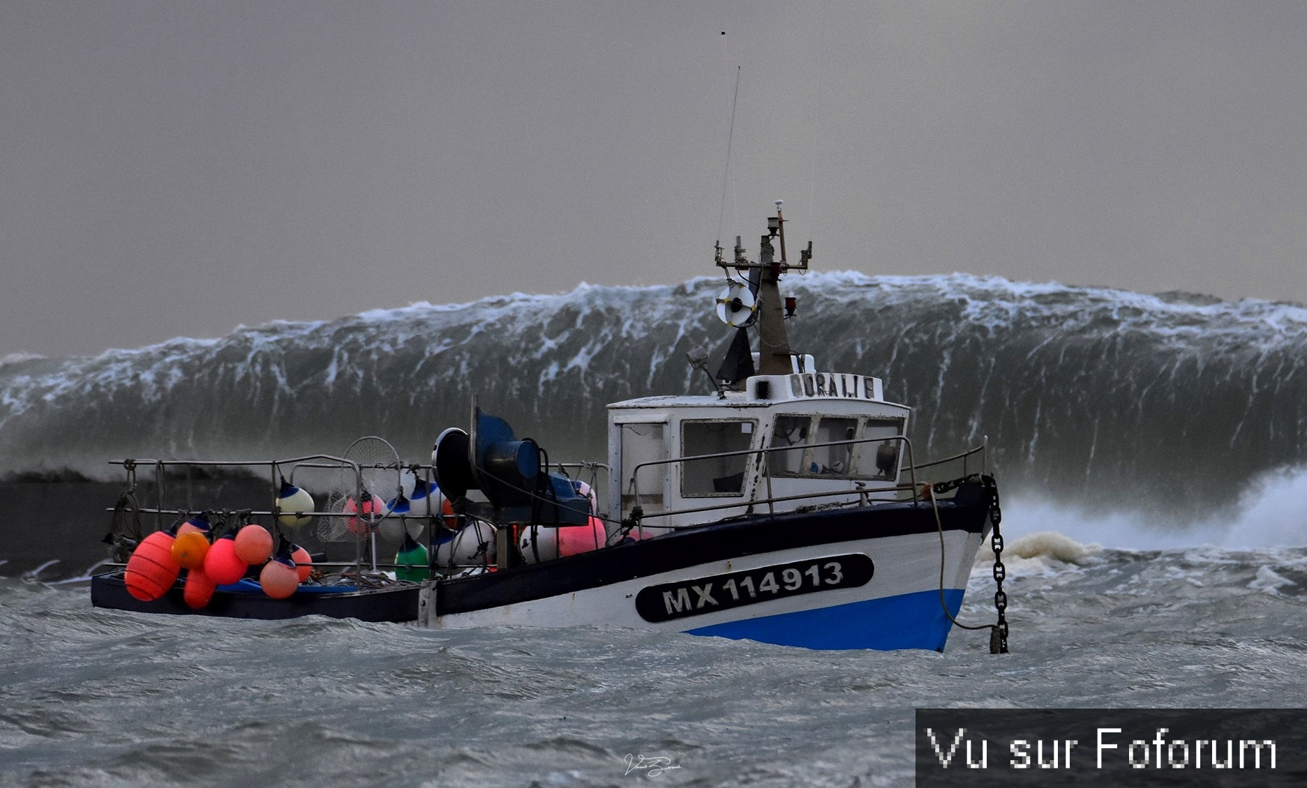 🎁 Bonus Fofocoins : La réponse surprise