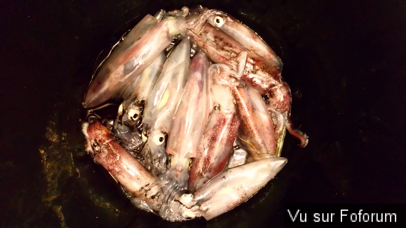 𝗖𝗮𝗽𝗶𝘁𝗮𝗶𝗻𝗲-𝗝𝗮𝗰𝗸.𝗰𝗼𝗺 𝗟𝗲𝘀 𝗡𝗲𝘄𝘀