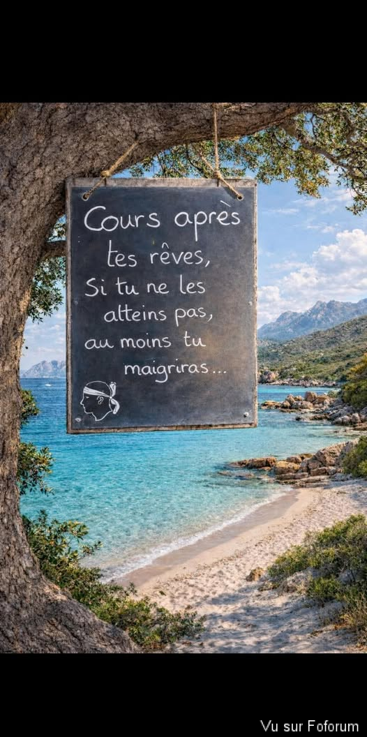 🎁 Bonus Fofocoins : La réponse surprise