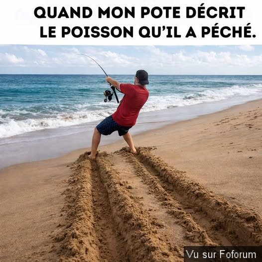 🎁 Bonus Fofocoins : La réponse surprise