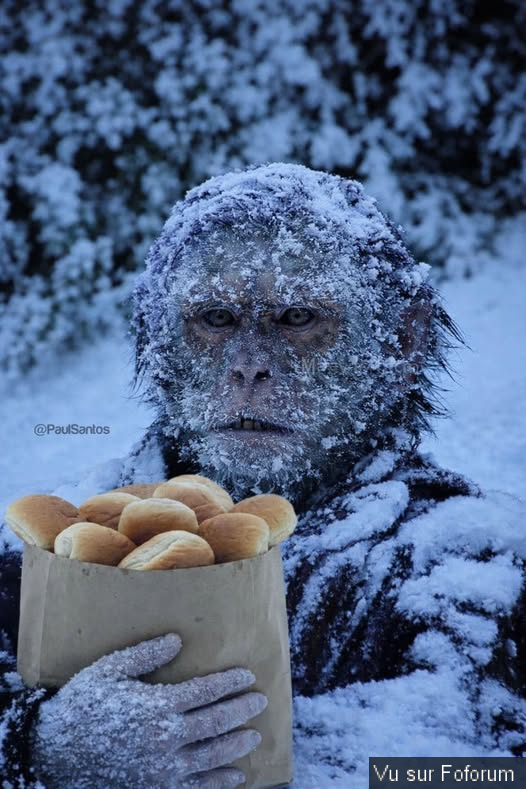 Poster n importe quoi qui vous fait plaisir ou vous fait rire, vous a étonné! Vidéo seulement ou short : jeu !