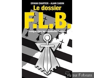 🎁 Bonus Fofocoins : La réponse surprise