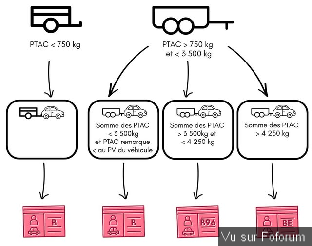 🎁 Bonus Fofocoins : La réponse surprise