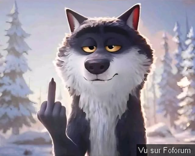 🎁 Bonus Fofocoins : La réponse surprise