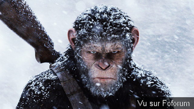 qui arretera trump et netanyahou