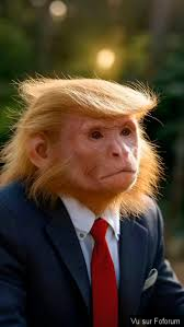 qui arretera trump et netanyahou