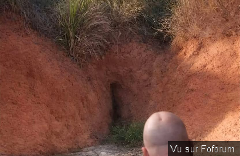 La pensée du jour...