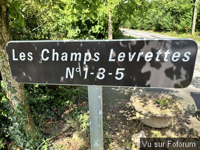 😎 𝗠𝗲𝗲𝘁𝗰𝗿𝘂𝗻𝗰𝗵 : 𝗔 𝗾𝘂𝗼𝗶 𝘁𝘂 𝗽𝗲𝗻𝘀𝗲𝘀 ? 😎