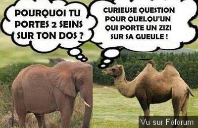 Oser en parler ou pas, l'attente d'un signe..