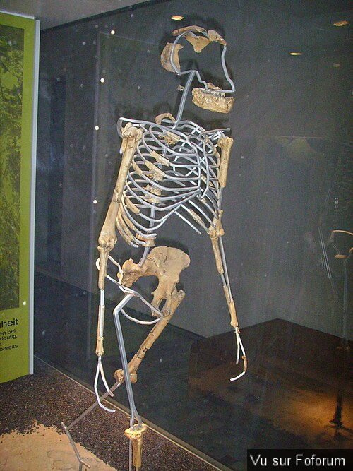 cardiophilie connaissez vous ?