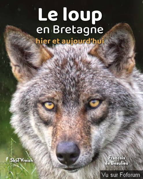 Oser en parler ou pas, l'attente d'un signe..