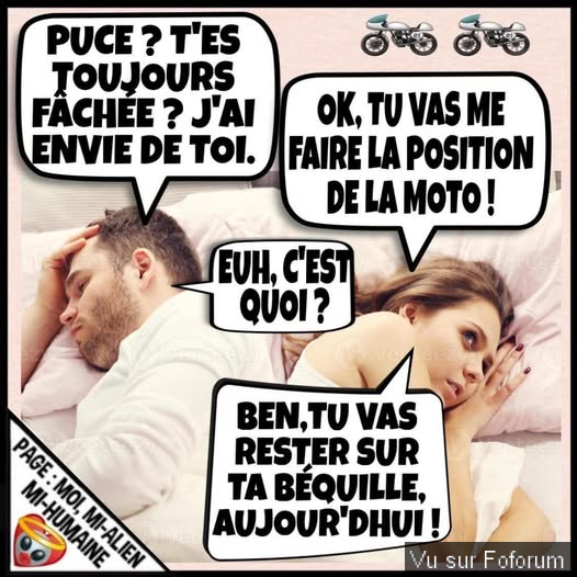 💯 𝑳𝑬𝑺 𝑷𝑬𝑹𝑳𝑬𝑺 𝑫𝑼 𝑵𝑬𝑻 💯