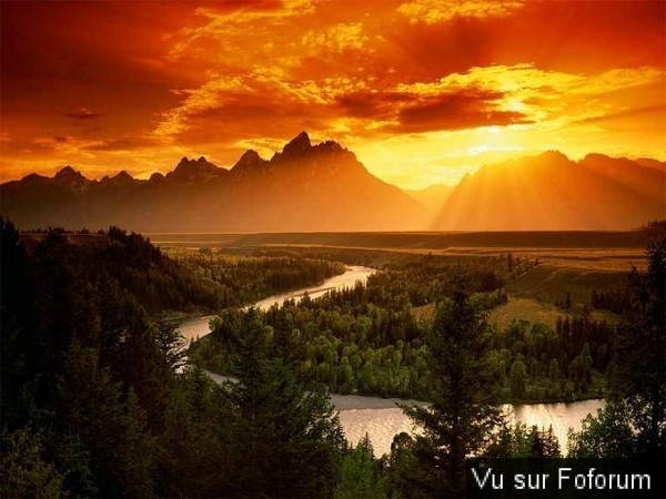 🎁 Bonus Fofocoins : La réponse surprise