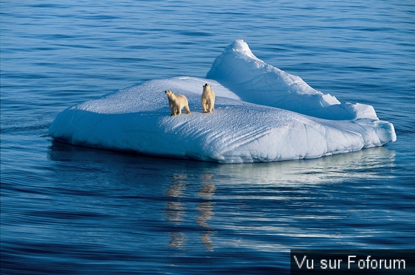 Poster n importe quoi qui vous fait plaisir ou vous fait rire, vous a étonné! Vidéo seulement ou short : jeu !