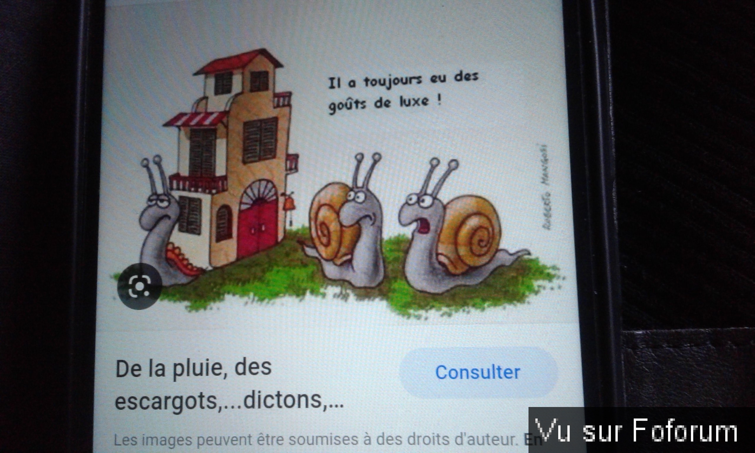 Cherche le petit qui a des escargot qui non pas de nom