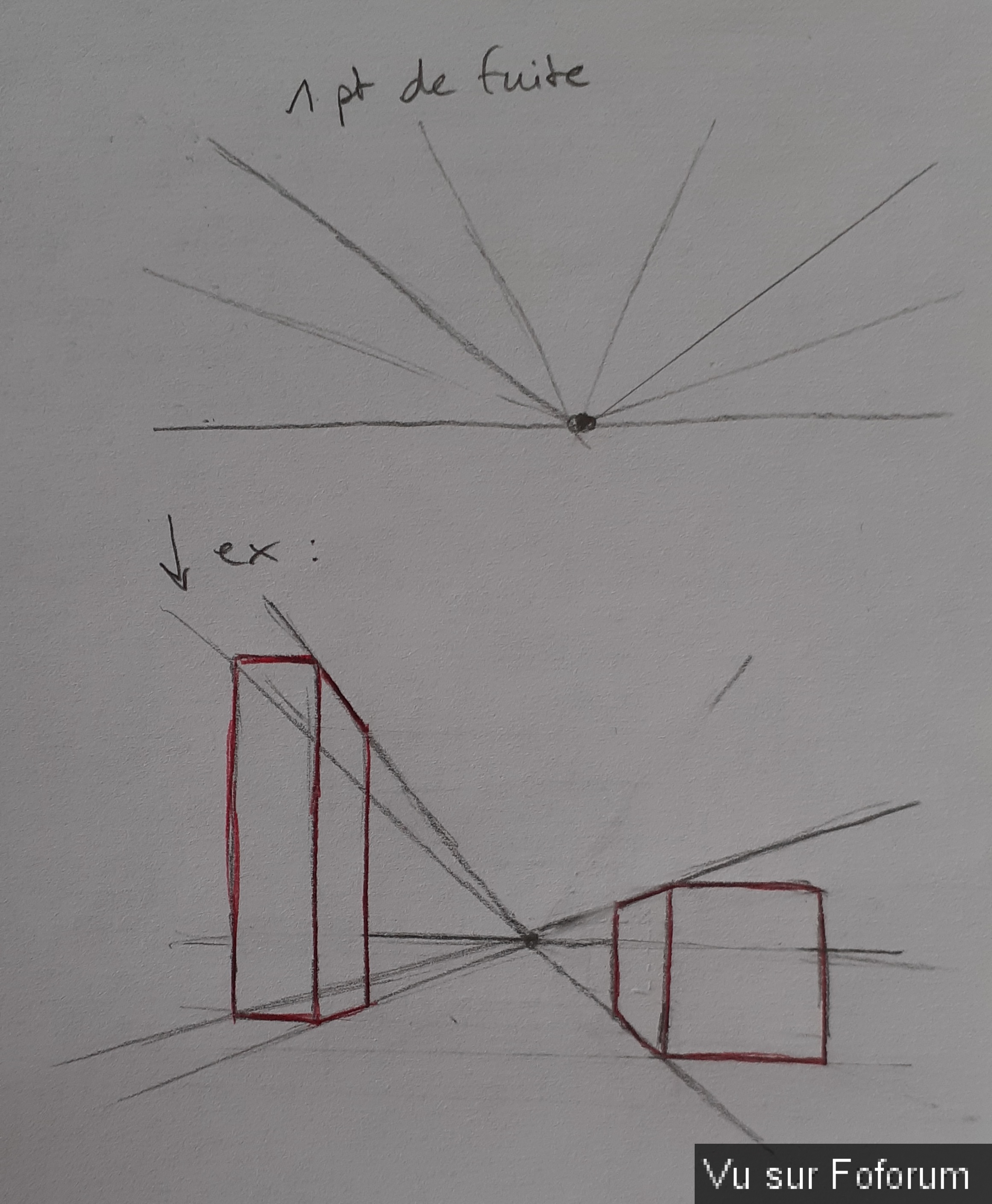 Perspective de caca