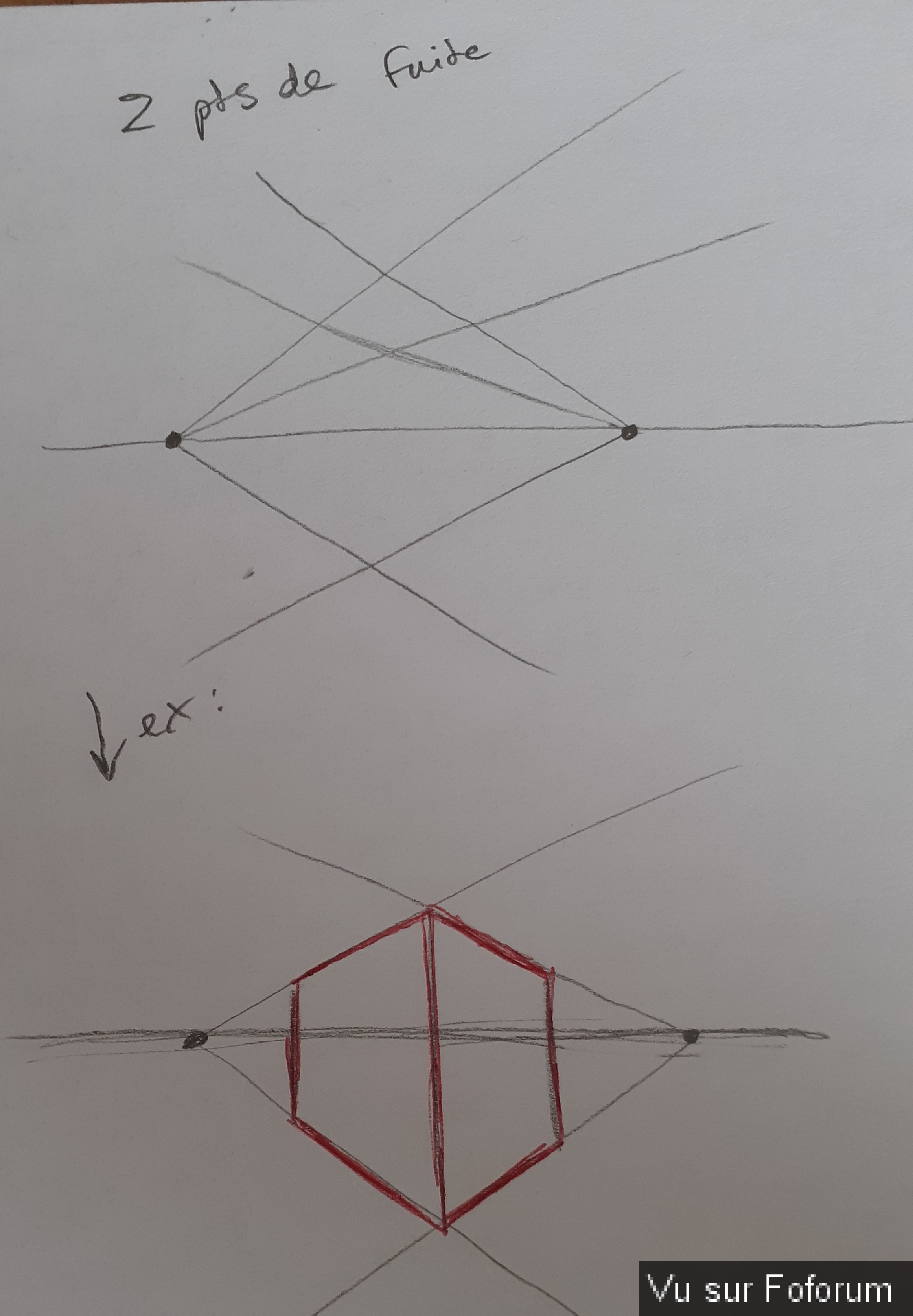 Perspective de caca