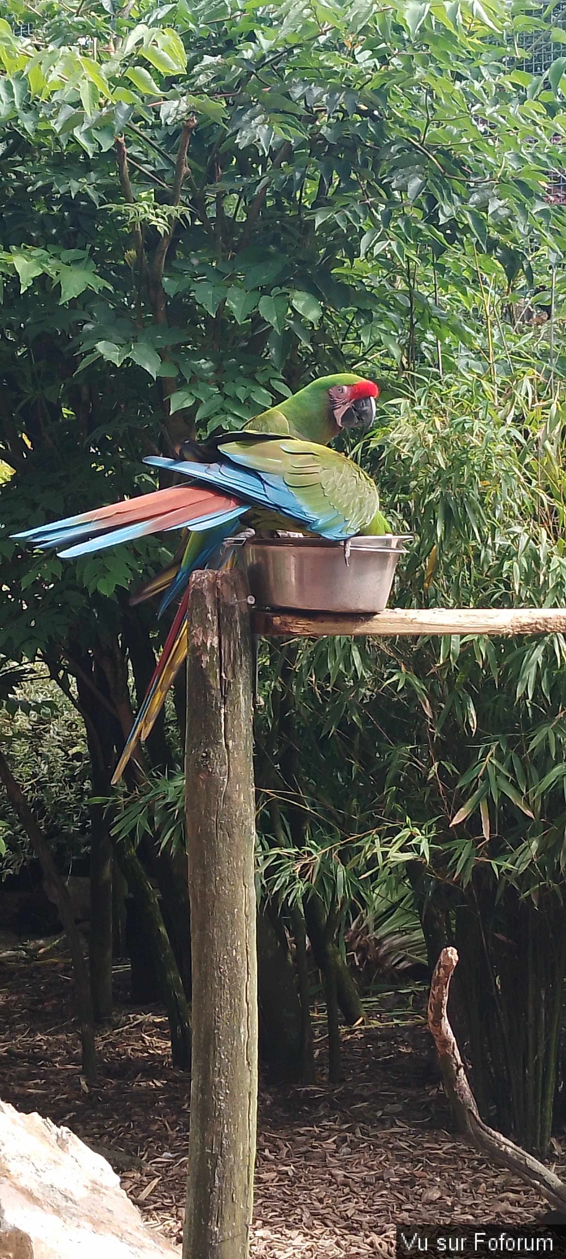 Zoo de Jurques.