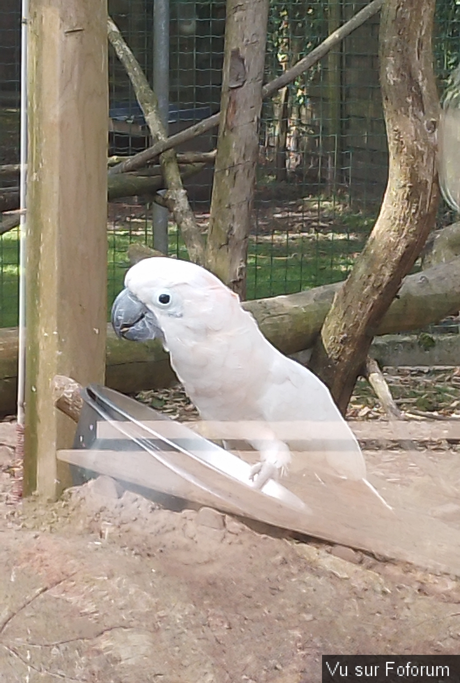 Zoo de Jurques.