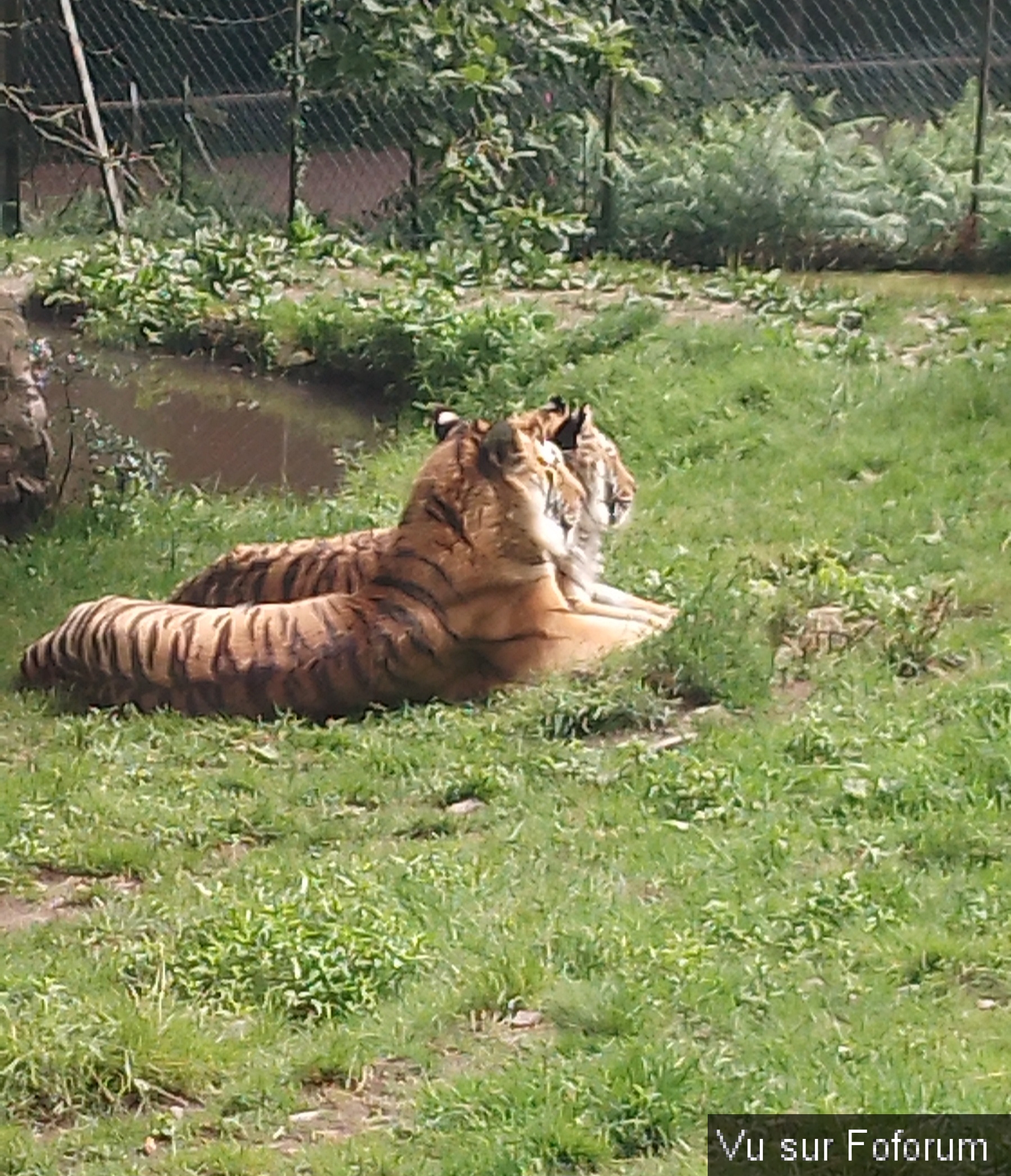 Zoo de Jurques.