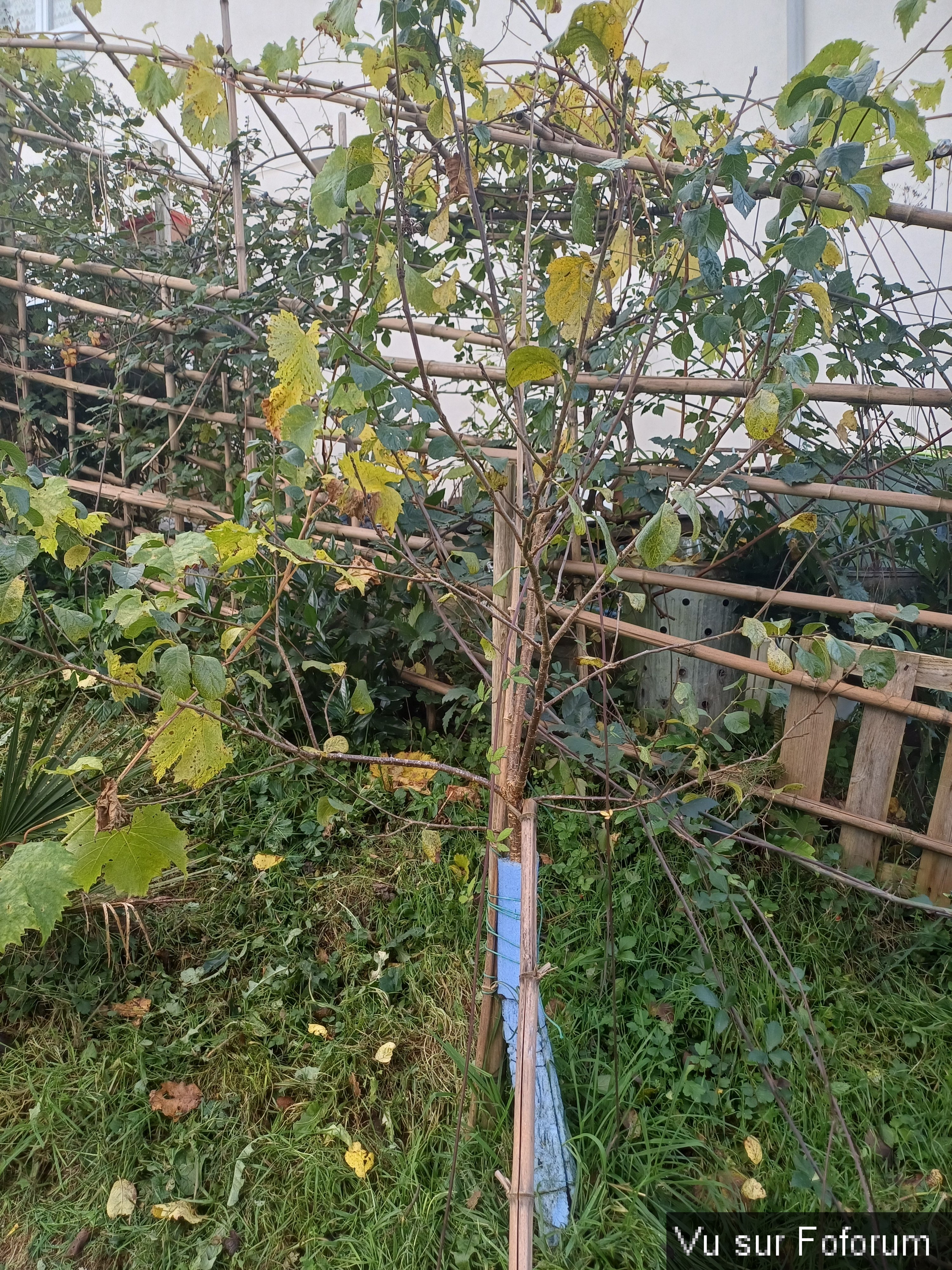 𝗖𝗮𝗽𝗶𝘁𝗮𝗶𝗻𝗲-𝗝𝗮𝗰𝗸.𝗰𝗼𝗺 𝗟𝗲𝘀 𝗡𝗲𝘄𝘀