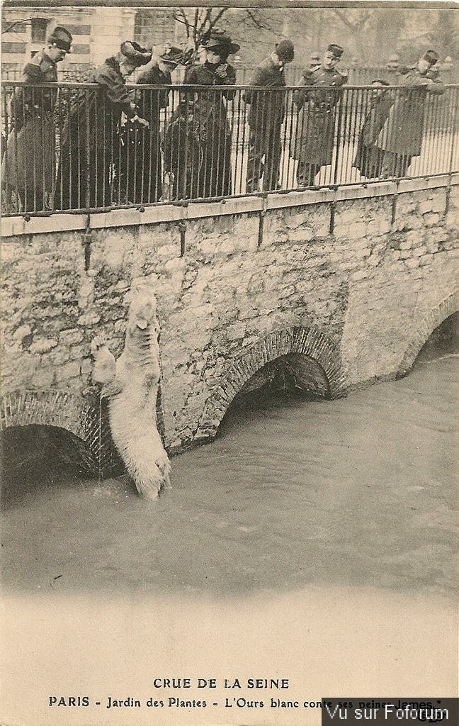 Paris la crue de la Seine en 1910.