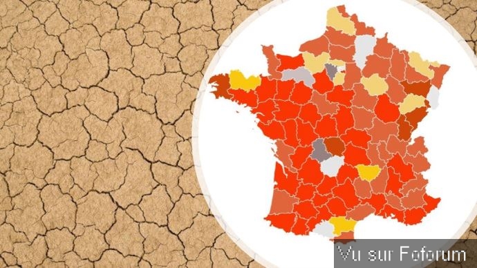 60 départements français ont des alertes de sécheresse de « crise » alors que la chaleur se poursuit