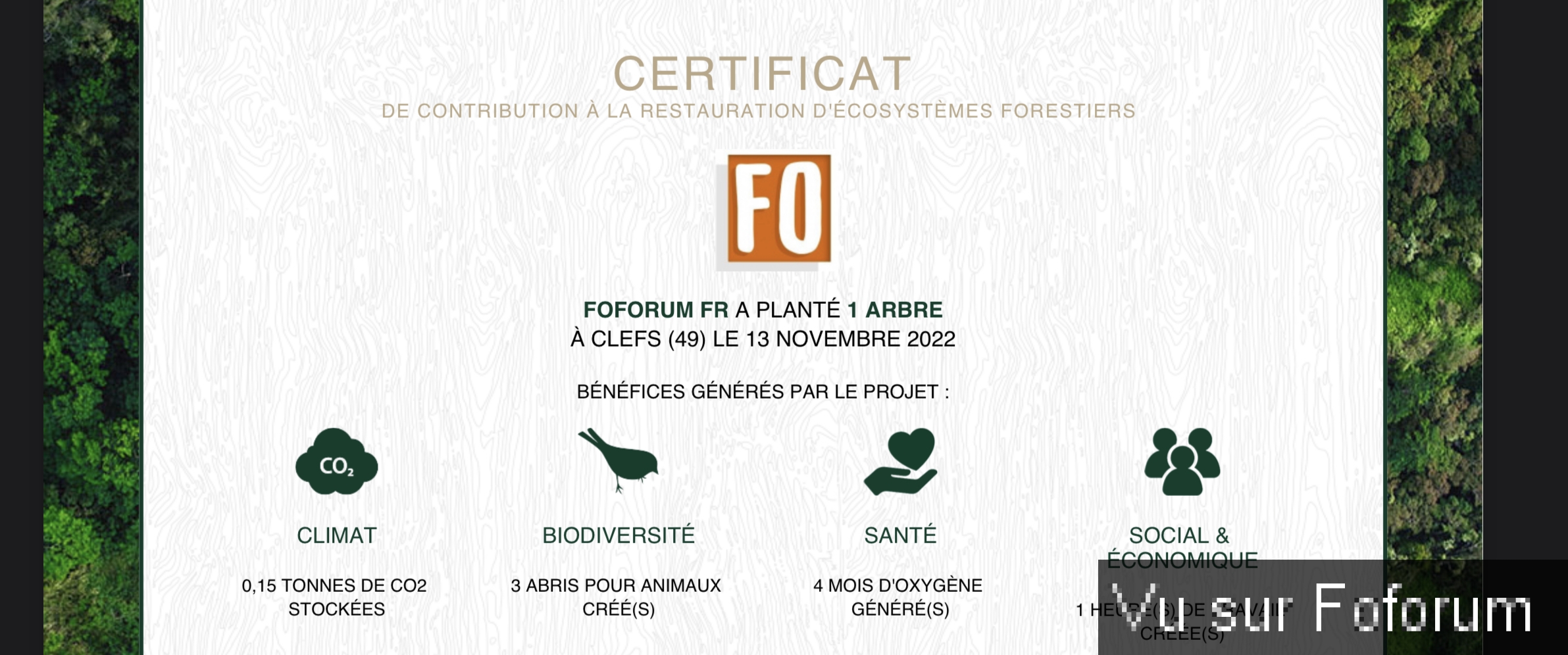 Nouvel achat : Plantation d'un arbre via Reforestaction 🌳