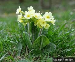 Une petite brise printanière