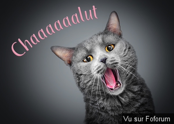 Poster n importe quoi qui vous fait plaisir ou vous fait rire, vous a étonné! Vidéo seulement ou short : jeu !