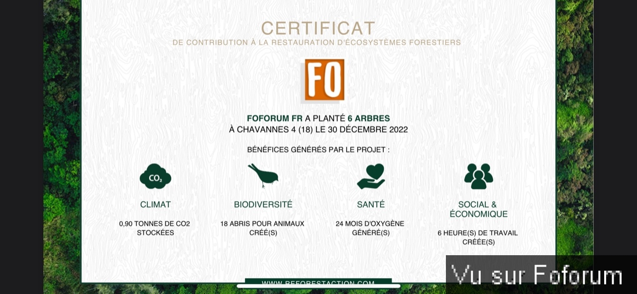 Nouvel achat : Plantation d'un arbre via Reforestaction 🌳