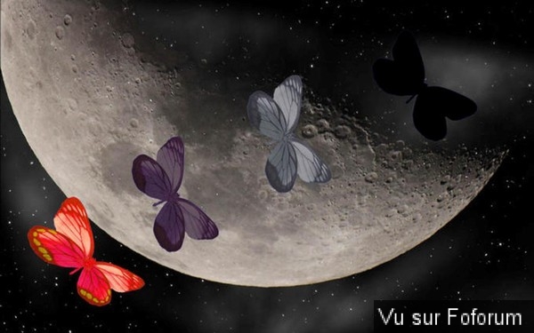 🎁 Bonus Fofocoins : La réponse surprise