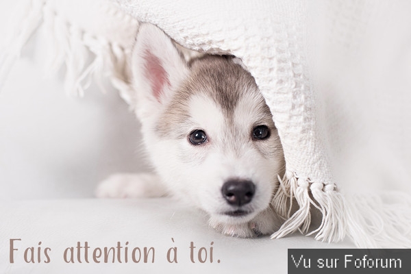 Poster n importe quoi qui vous fait plaisir ou vous fait rire, vous a étonné! Vidéo seulement ou short : jeu !
