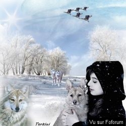 Poesie / beaux textes