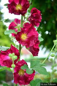 Une petite brise printanière