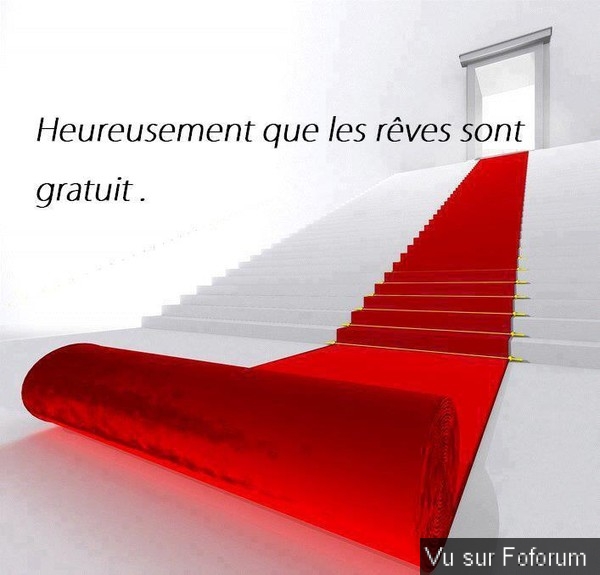 🎁 Bonus Fofocoins : La réponse surprise