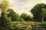 Poesie / beaux textes