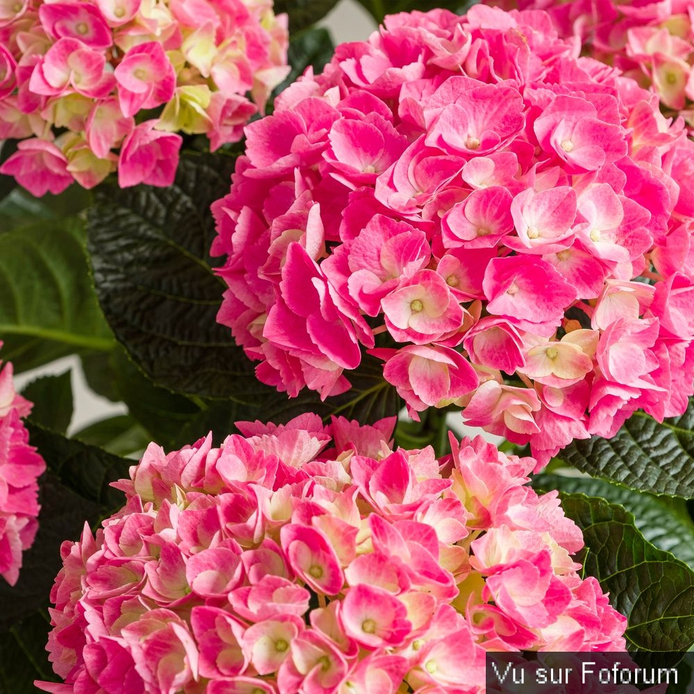 Une petite brise printanière