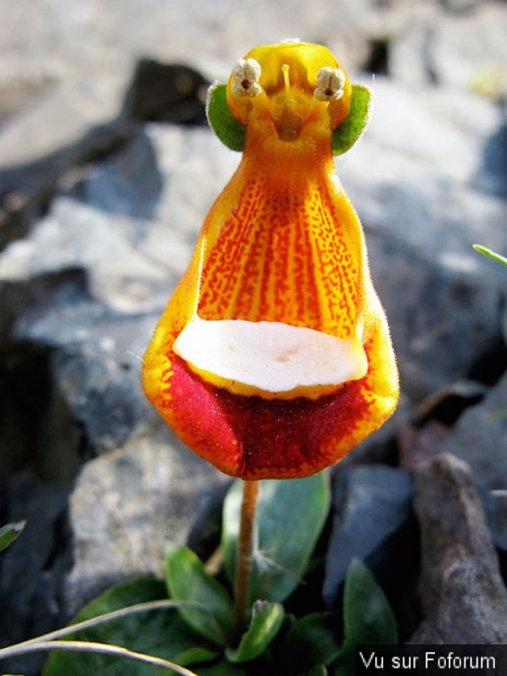 Une petite brise printanière