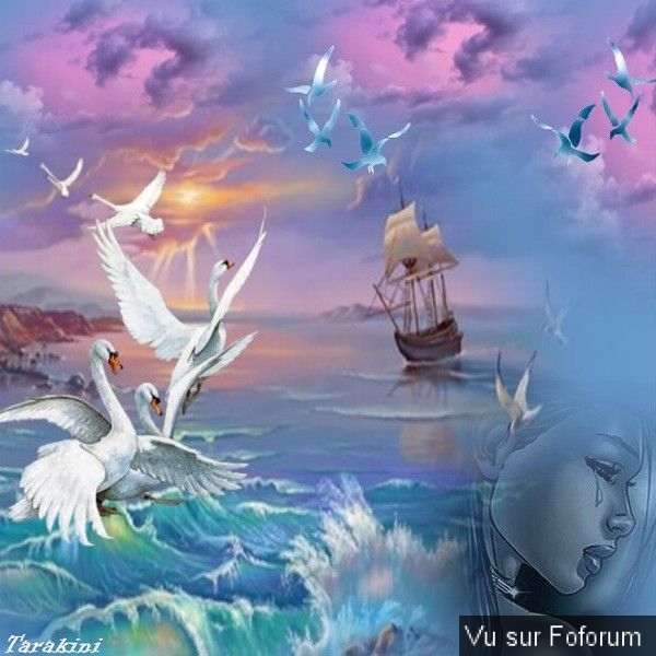 Poesie / beaux textes