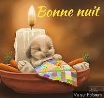 🎁 Bonus Fofocoins : La réponse surprise