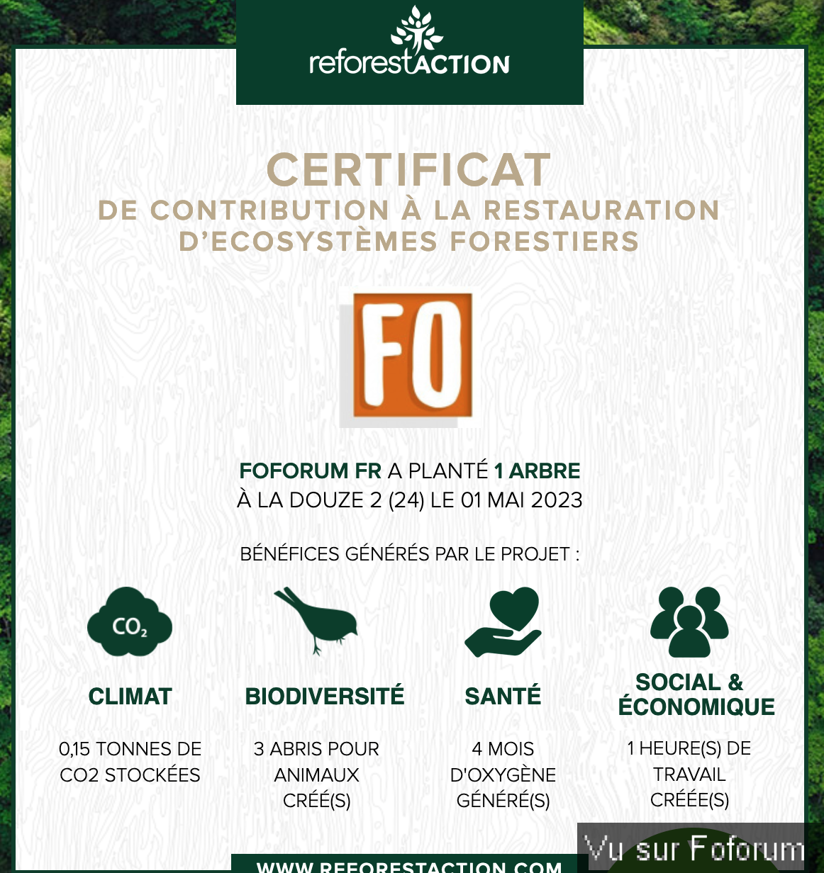 Nouvel achat : Plantation d'un arbre via Reforestaction 🌳