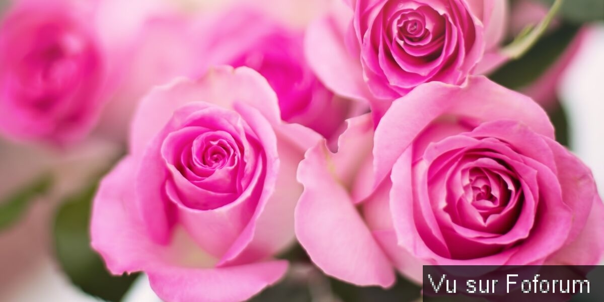 Une petite brise printanière