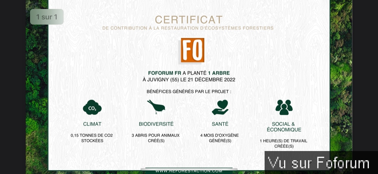 Nouvel achat : Plantation d'un arbre via Reforestaction 🌳