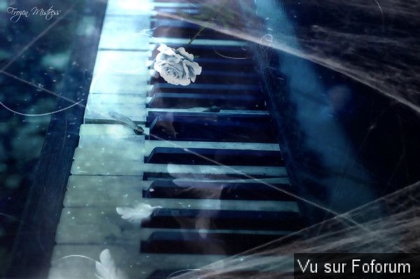 Poesie / beaux textes