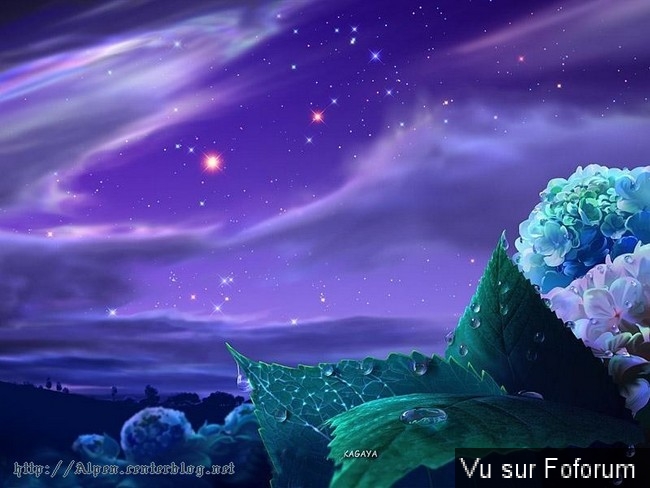 🎁 Bonus Fofocoins : La réponse surprise