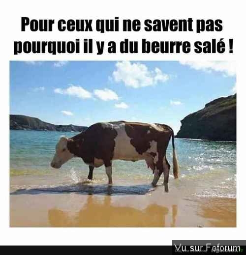 Poster n importe quoi qui vous fait plaisir ou vous fait rire, vous a étonné! Vidéo seulement ou short : jeu !