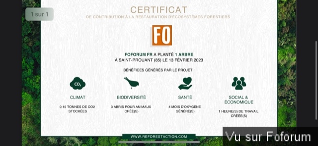 Nouvel achat : Plantation d'un arbre via Reforestaction 🌳