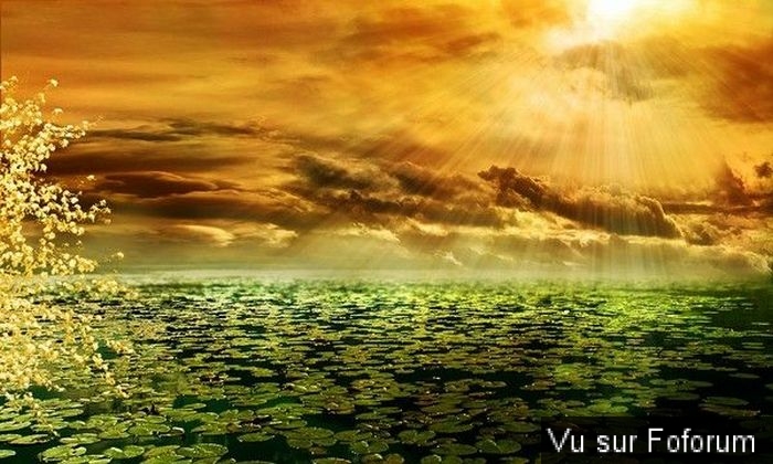 🎁 Bonus Fofocoins : La réponse surprise